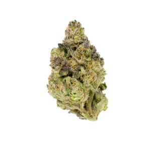 Gelato Cake
