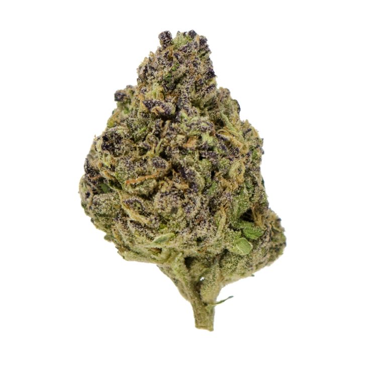 Frosted Gelato