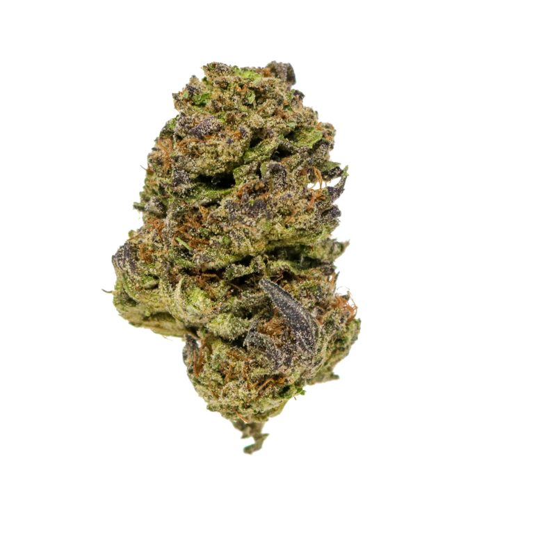 Rainbow Sherbert