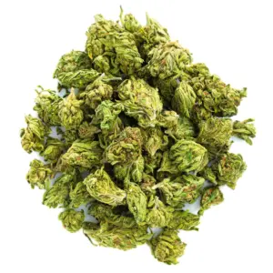 Blueberry Cough - 28 Grams - Sativa