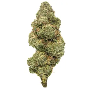 Blueberry Muffin Strain - 28 Grams - Indica