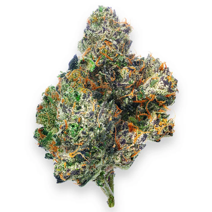 Boutique Exotics - Obama Runtz - 28 Grams - Hybrid - Image 2