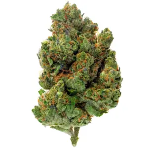 Chocolate Diesel - 28 Grams - Hybrid