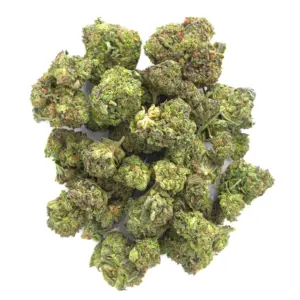 Cheesecake 41 - 28 Grams - Indica