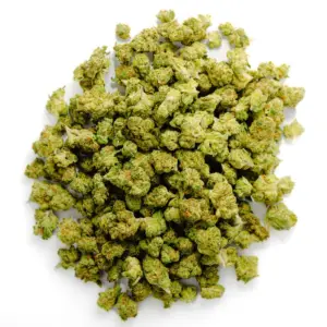 OG Kush strain