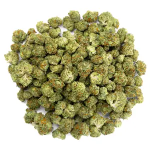 Gelato 41 - 28 Grams - Hybrid