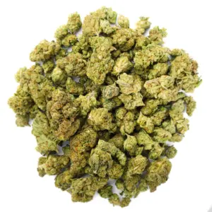 KIND - Guava Lato - 28 Grams - Hybrid