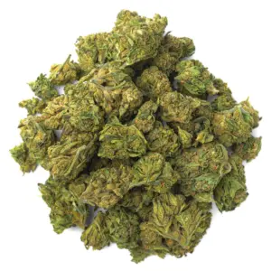 Hella Jelly Strain - 28 Grams - Sativa