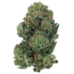 Alien OG strain UK