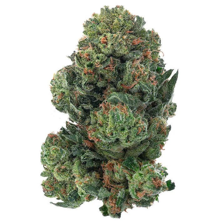 Alien OG strain UK