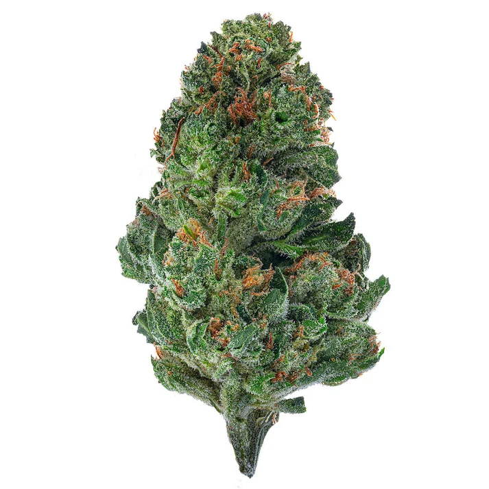 Tahoe OG strain