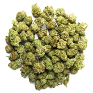 Raspberry Kush - 28 Grams - Indica