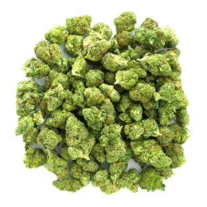 SFV OG - Minis - 28 Grams - Sativa