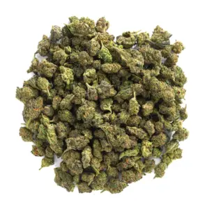 White Nerds Strain - Minis - 28 Grams - Hybrid