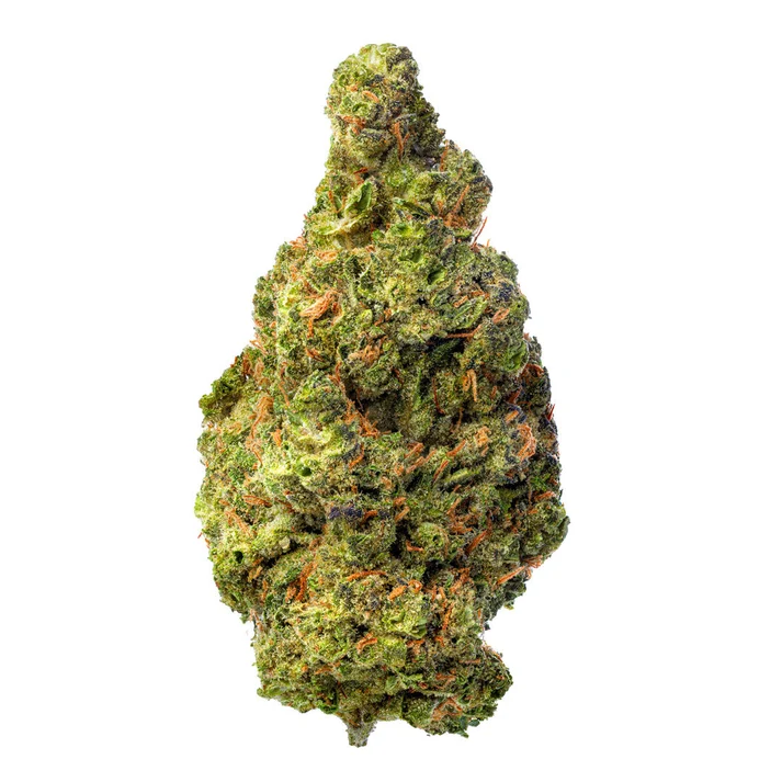 White Widow strain